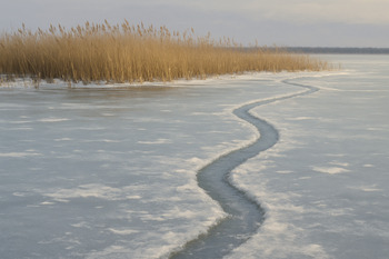 Маршрут по заливу с камышами и тропой на замёрзшем льду